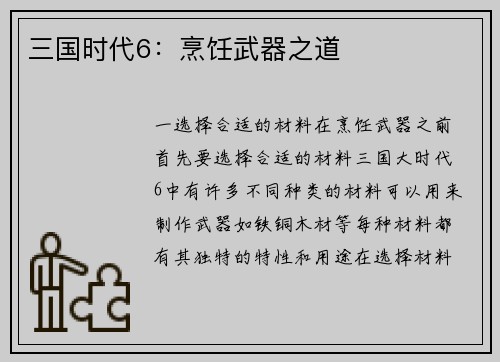 三国时代6：烹饪武器之道
